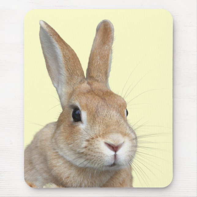 ウサギの顔 MOUSEPAD (Vorne)