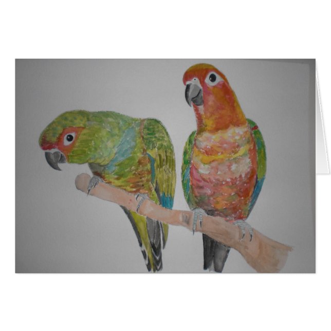 オウムパロット Conure Paare, die heraus hängen (Vorderseite (Horizontal))