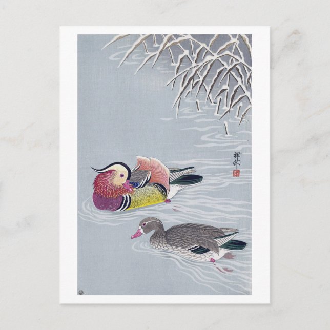 オ シ リ, 小 古 ド Mandarin duck, Ohara Koson, Ukiyo-e Postkarte (Vorderseite)