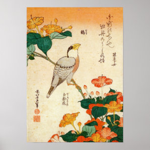 オ シ ロ に ナ 鳥, Jalapa und Mirabilia Jalapa, Hokusai Poster