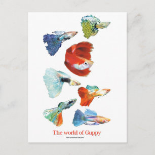 グ ピ ・ ズ POSTKARTE