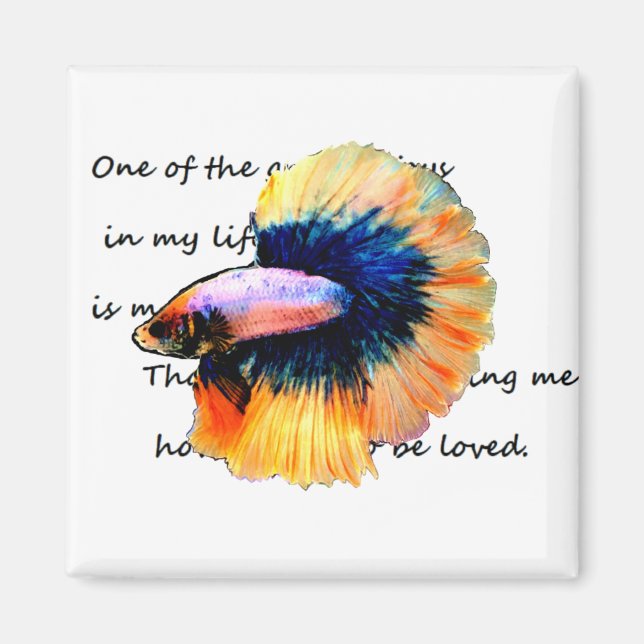 グ betta(魚)闘 ネ magnet (Vorne)