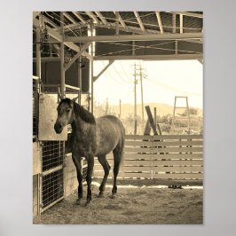 ケイメイ牧場　グラマーちゃん　まるで置き物 POSTER