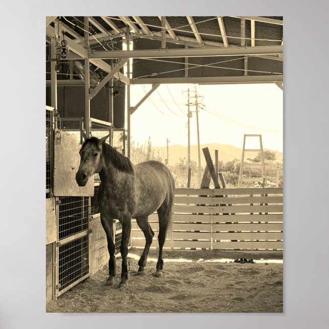 ケイメイ牧場　グラマーちゃん　まるで置き物 POSTER (Vorne)