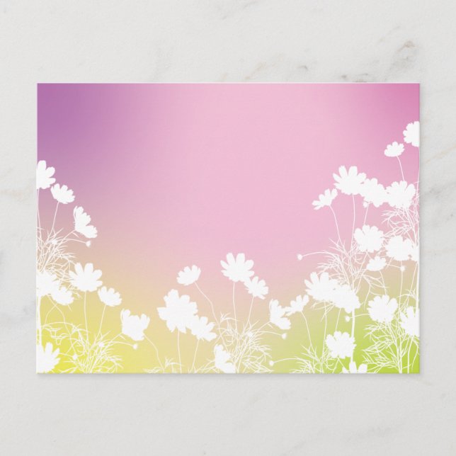 コスモスの花｜秋の風を感じるポストカード POSTKARTE (Vorderseite)