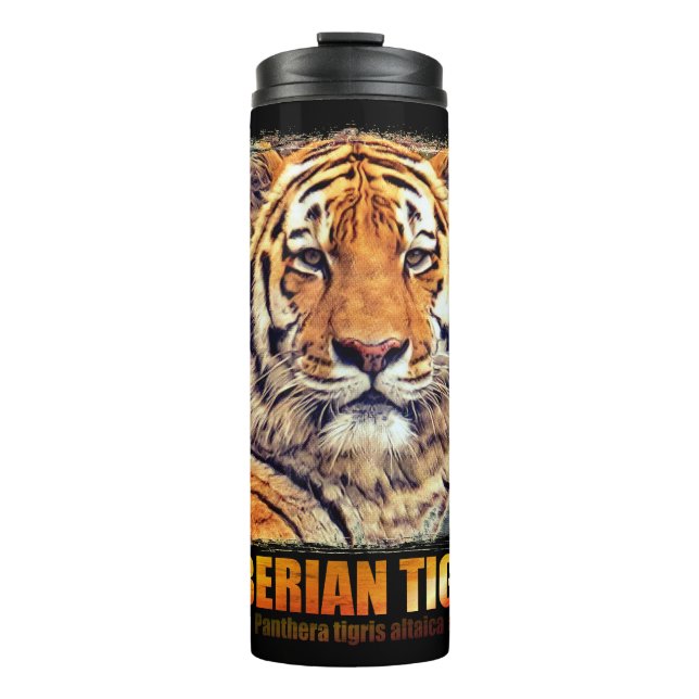 シベリアン・タイガー THERMOSBECHER (Vorderseite)