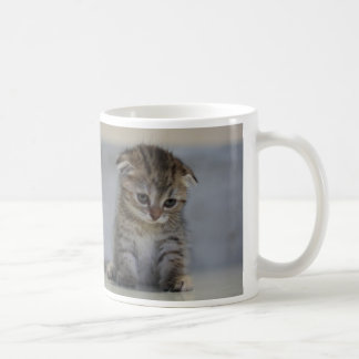 スコティッシュフォールド子猫　マグカップ TASSE
