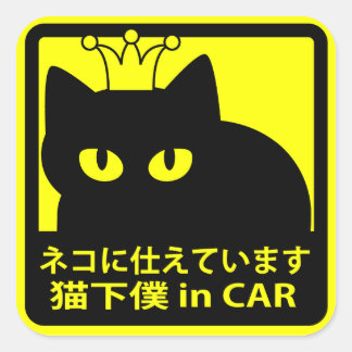 ステッカー　「猫に仕えています」イエロー QUADRATISCHER AUFKLEBER