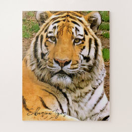 ズ Sibirien Tiger グ ソ ル. Puzzle