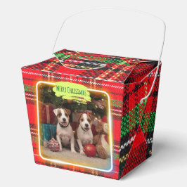 チェック柄がかわいいジャックラッセルテリアの子犬たちとクリスマス♡  GESCHENKSCHACHTEL