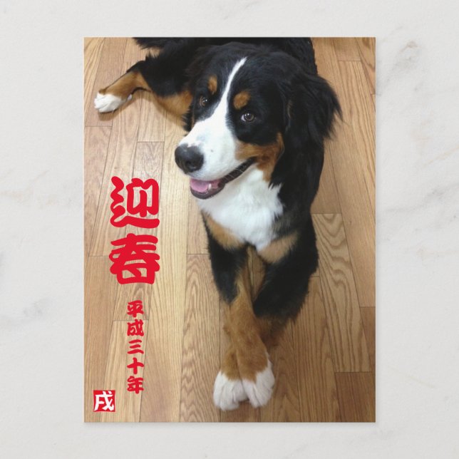 テウグ年ニ20ズ218 POSTKARTE (Vorderseite)