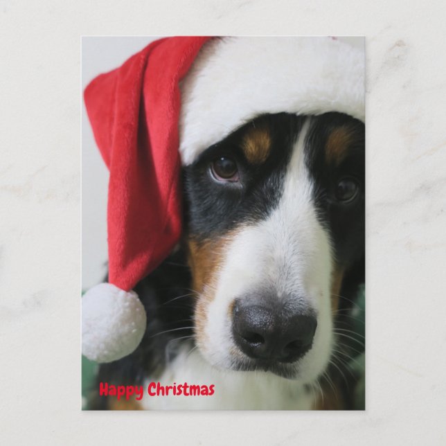 ニズウドテグリ FEIERTAGSPOSTKARTE (Vorderseite)