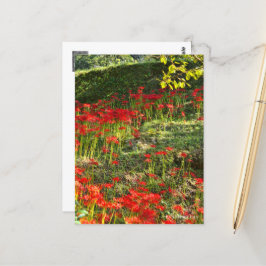 ヒガンバナ POSTKARTE