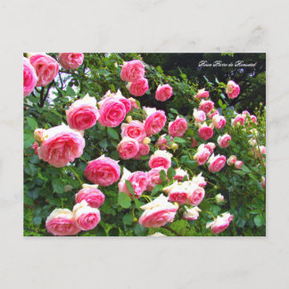 ピエール・ドゥ・ロンサール [ポストカード] POSTKARTE