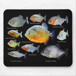 ピ ラ ニ ア 製 品 の MOUSEPAD