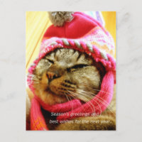 ピ 子 ド帽の(縦:年 末