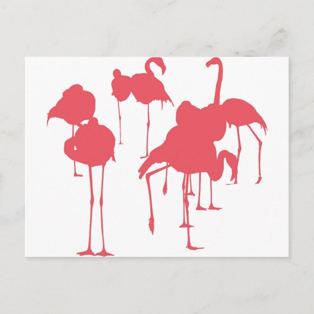 フ ラ ゴ POSTKARTE (Vorderseite)