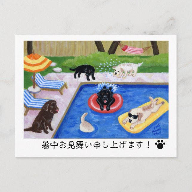 プ 囲 を で テん Labradors Postkarte (Vorderseite)