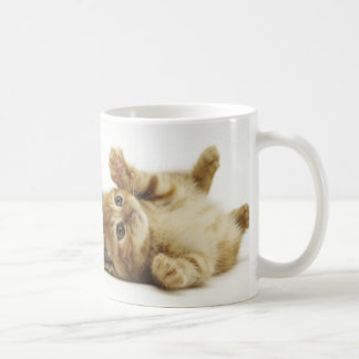 マルチカン子猫　マグカップ TASSE