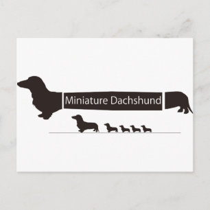 ミ ュ ア ダスフニドのおもしろグズ2 POSTKARTE