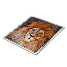 ラ オ タ ル FLIESE