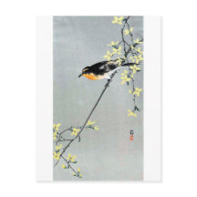 レ ョ ウ 鳥, ギ, Bird auf Forsythia