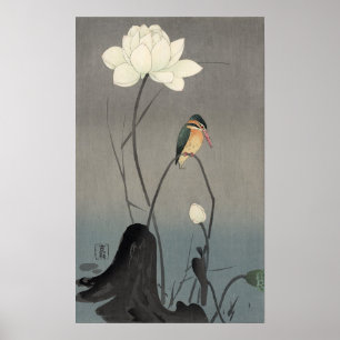 ワ セ ミ, 古 邨 Kingfisher auf Lotus, Koson, Ukiyo. Poster