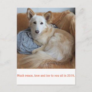 ワ ミ グ雪2019 POSTKARTE