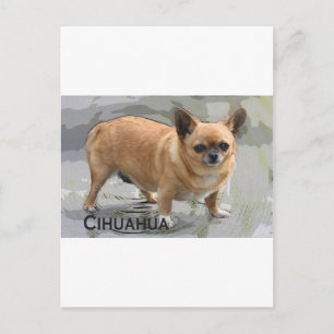 ワ    Chihuahuaワ ч и х а у х    Postkarte