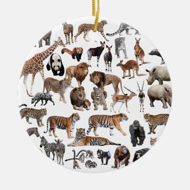 世 界 の 動 物 の 優 良 KERAMIK ORNAMENT (Vorne)