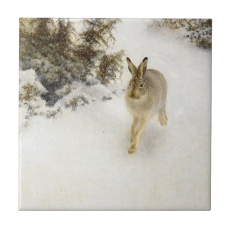冬の野兎 FLIESE