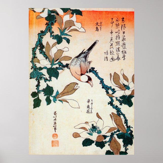 文 鳥 と コ シ, 北 Java Sparrow und Kobushi, Hokusai, ブ Poster (Vorne)