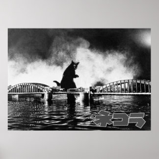 映 ロ デ ィ ネ コ 画ラ POSTER