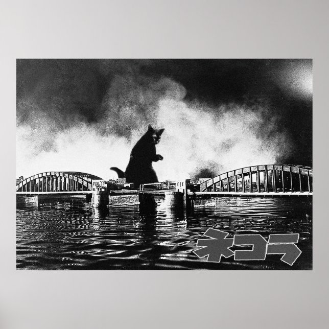 映 ロ デ ィ ネ コ 画ラ POSTER (Vorne)