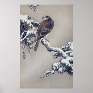 松 に 鷹, 古 邨 Hawk on Pine tree, Ohara Koson, Woodcut Poster