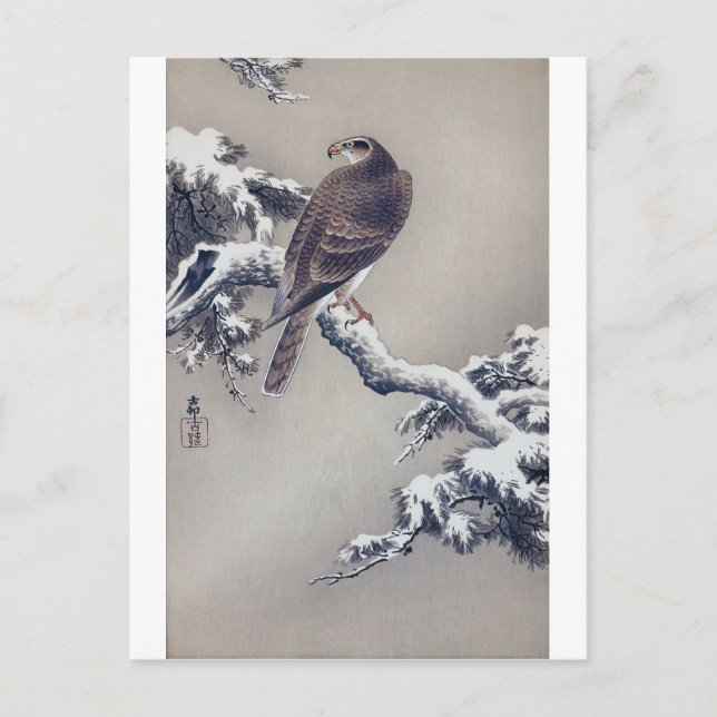 松 に 鷹, 古 邨 Hawk on Pine tree, Ohara Koson, Woodcut Postkarte (Vorderseite)