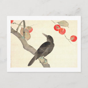 柿 に 烏, 抱 Persimmon und Crow, Hōitsu Postkarte