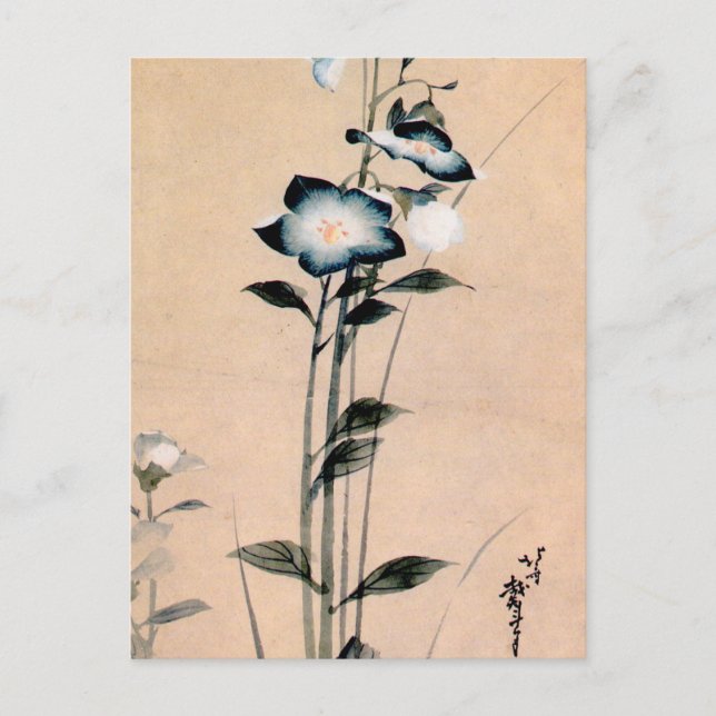 桔 梗, 北, 斎 Chinesische Glockenblume, Hokusai Ukiyo- Postkarte (Vorderseite)