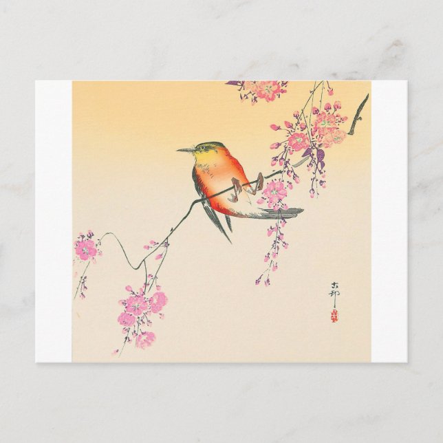桜 に 鳥, 小 原 邨 Bird & Cherry Blossoms, Ohara Koson Postkarte (Vorderseite)