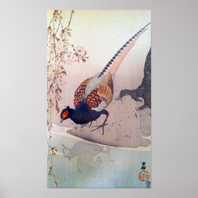 桜 に Sohn, 古 邨 Pheasant und Cherry, Ohara Kohara Poster (Vorne)