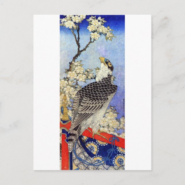 桜 ハ ヤ サ, Falken- und Kirschblüten, Hokusai, Ukiyo- Postkarte (Vorderseite)