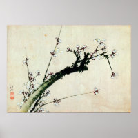 梅 花, 北 斎 Pflaumenblüten, Hokusai, Ukiyo-e