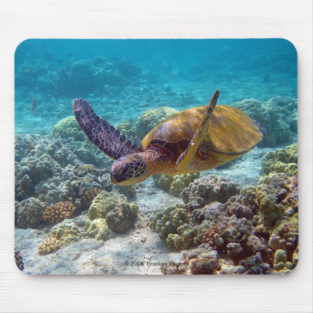 海亀 MOUSEPAD (Vorne)