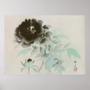 牡 丹, 速 舟 Peony, Gyoshū, Jpanese Art 御 Poster