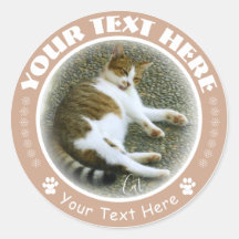 猫 ラ ウ シ ル ド