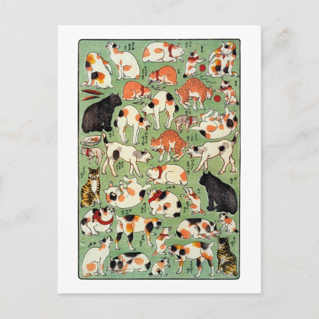 猫 両 め 合, 芳 Katzen der Edo-Ära, Yoshifuji, Ukiyo-e Postkarte (Vorderseite)