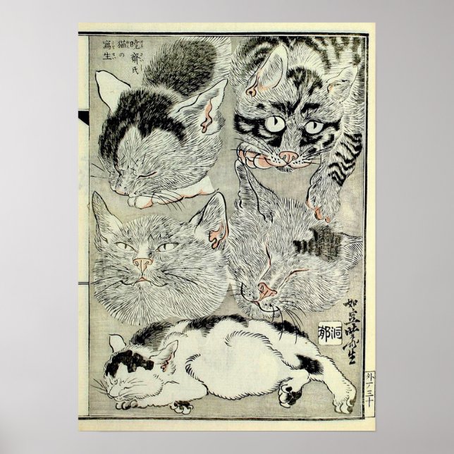 猫, 暁 斎 Katzen, Kyōsai, Ukiyo-e Poster (Vorne)