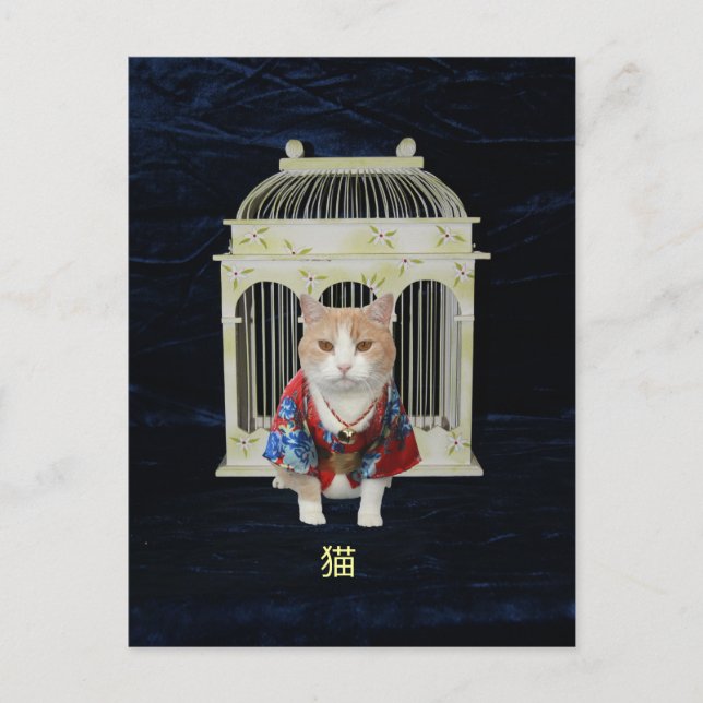 猫 Lucky Cat Postkarte (Vorderseite)