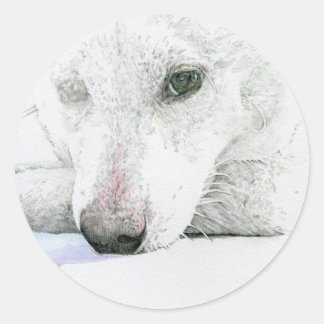 白柴犬シール RUNDER AUFKLEBER