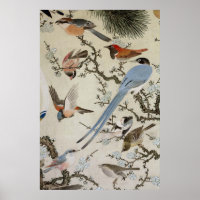 群 鳥 図, 中 道, Vögel (im Detail), Nakazumi Doun